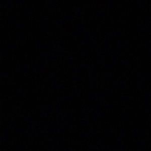 Meet your Posher, Kylee